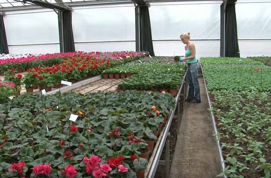 Horticulteur / Horticultrice CFC - floriculture et paysagisme