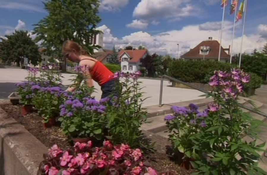 Garten Landschaftsbau Gehalt Ungelernt Test 5