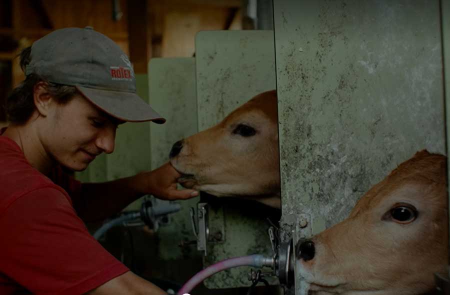 Landwirt/in EFZ – Video mit Porträt eines Lernenden